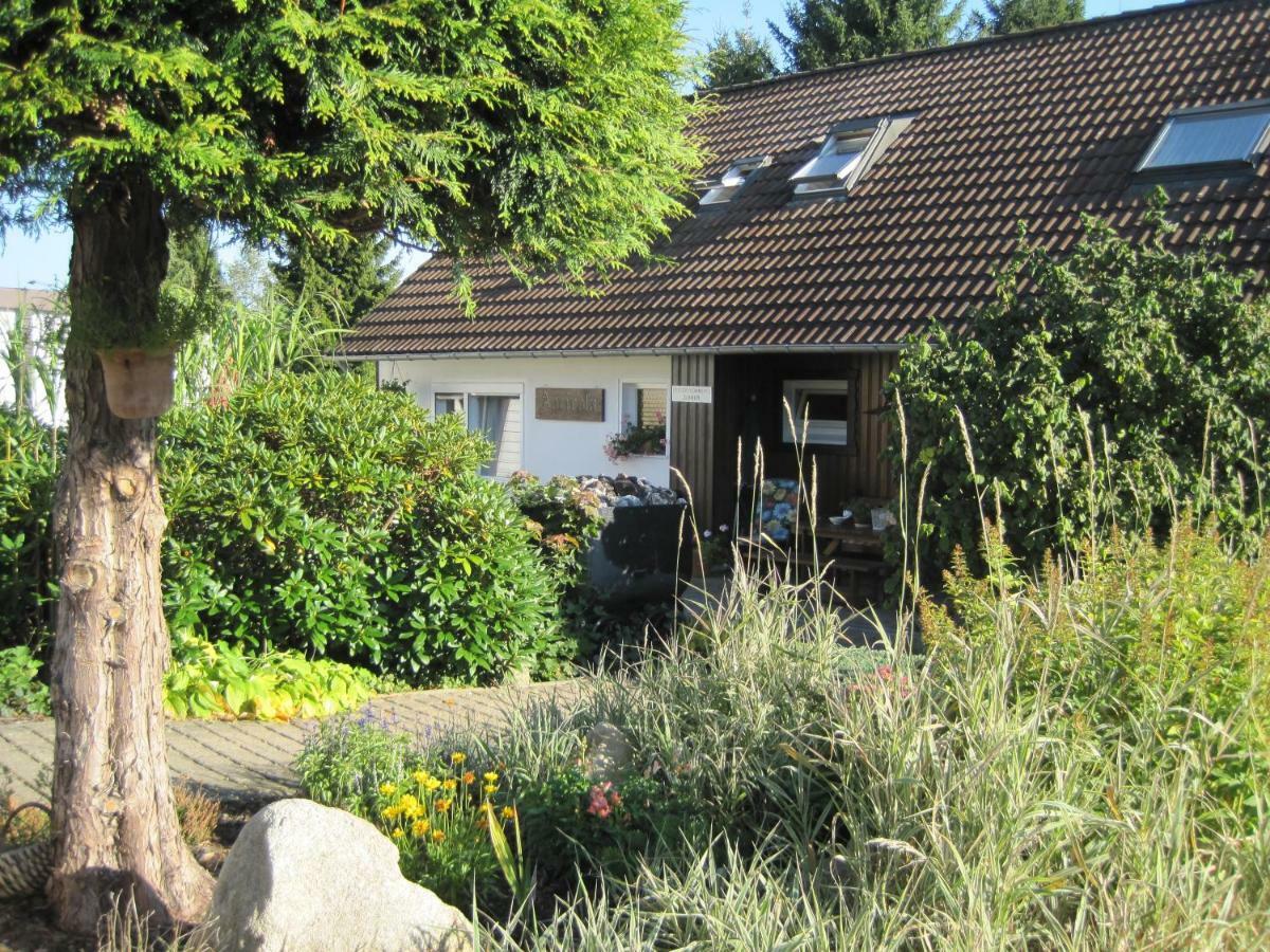 Haus Agricola - Ferienwohnungen Altenau  Εξωτερικό φωτογραφία